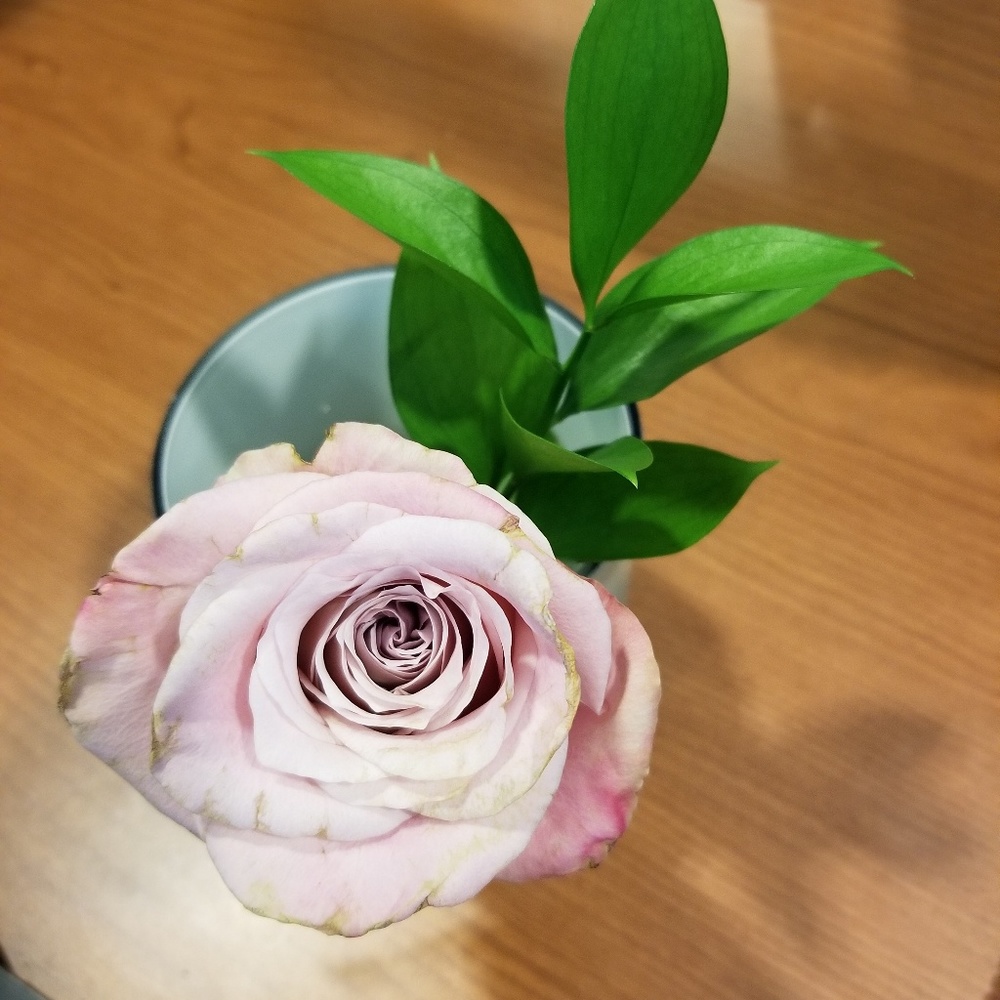 Meet your Posher, Tina